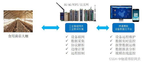 智慧賦能，科技興農 食用菌菇大棚環境實時監測與自動化控制系統